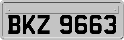 BKZ9663