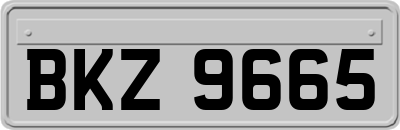 BKZ9665