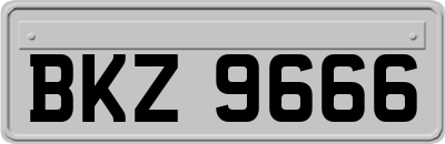 BKZ9666