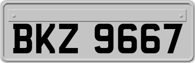 BKZ9667