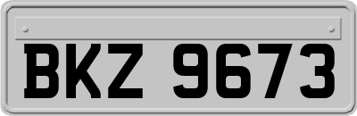 BKZ9673