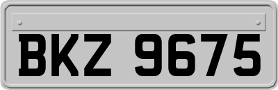 BKZ9675