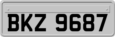 BKZ9687