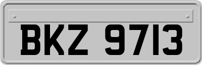BKZ9713