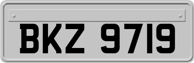 BKZ9719