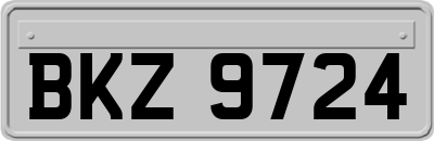BKZ9724