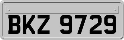BKZ9729