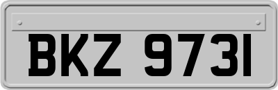BKZ9731