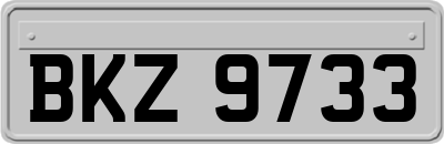 BKZ9733