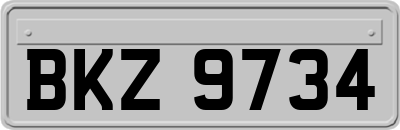 BKZ9734