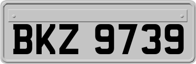 BKZ9739