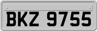BKZ9755