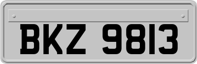 BKZ9813
