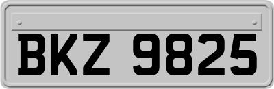 BKZ9825
