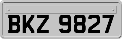 BKZ9827