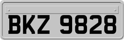 BKZ9828