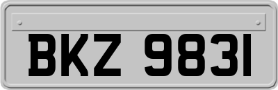 BKZ9831