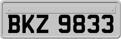 BKZ9833