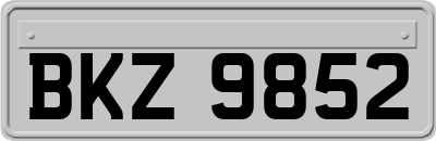 BKZ9852