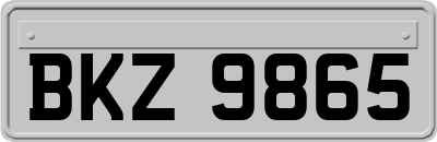 BKZ9865