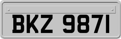 BKZ9871