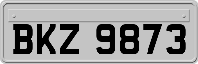 BKZ9873
