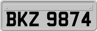 BKZ9874
