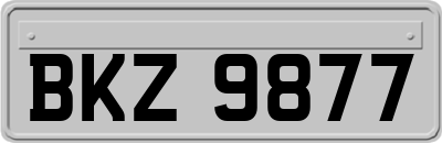 BKZ9877