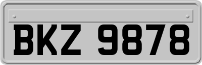BKZ9878