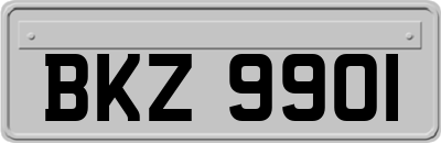 BKZ9901