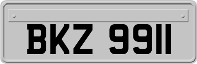 BKZ9911
