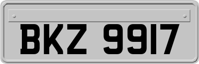 BKZ9917