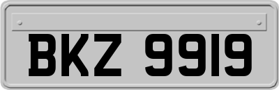 BKZ9919