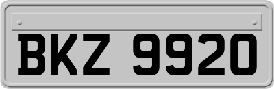 BKZ9920