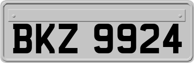 BKZ9924
