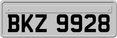 BKZ9928