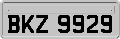 BKZ9929