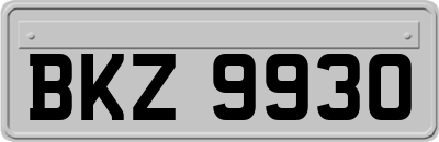 BKZ9930