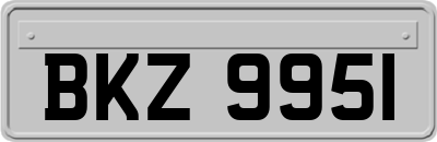 BKZ9951