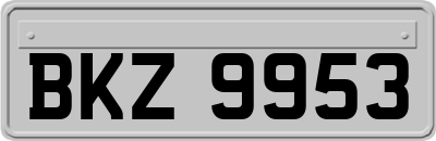 BKZ9953