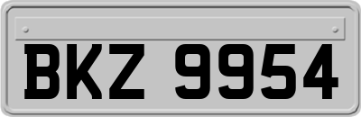 BKZ9954