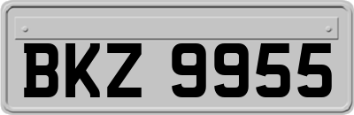BKZ9955