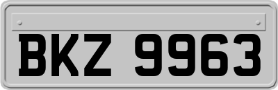 BKZ9963