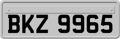 BKZ9965
