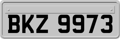 BKZ9973