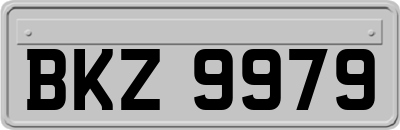 BKZ9979