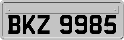 BKZ9985