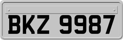 BKZ9987