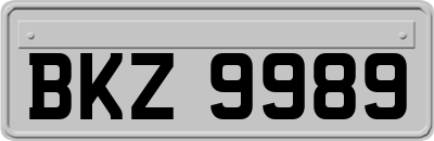 BKZ9989