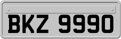 BKZ9990